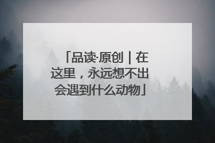 品读·原创｜在这里，永远想不出会遇到什么动物