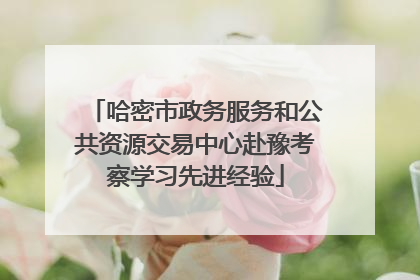 哈密市政务服务和公共资源交易中心赴豫考察学习先进经验
