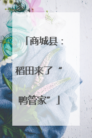 商城县：稻田来了“鸭管家”