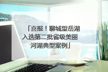 喜报！聊城望岳湖入选第二批省级美丽河湖典型案例