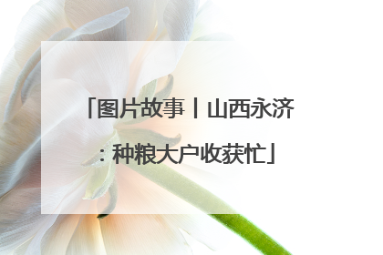 图片故事丨山西永济：种粮大户收获忙