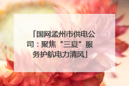 国网孟州市供电公司：聚焦“三夏”服务护航电力清风
