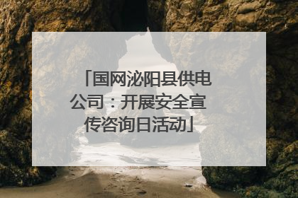 国网泌阳县供电公司：开展安全宣传咨询日活动