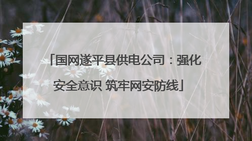 国网遂平县供电公司：强化安全意识 筑牢网安防线
