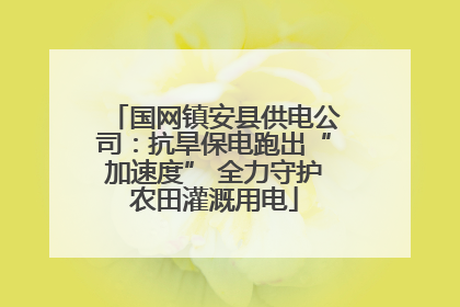 国网镇安县供电公司：抗旱保电跑出“加速度” 全力守护农田灌溉用电