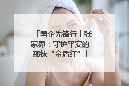 国企先锋行丨张家界：守护平安的那抹“金盾红”