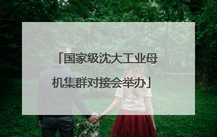 国家级沈大工业母机集群对接会举办