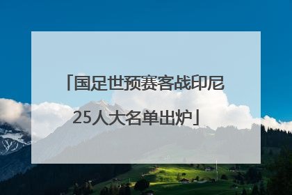 国足世预赛客战印尼25人大名单出炉