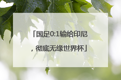 国足0:1输给印尼，彻底无缘世界杯