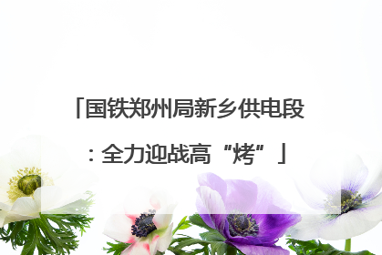 国铁郑州局新乡供电段：全力迎战高“烤”