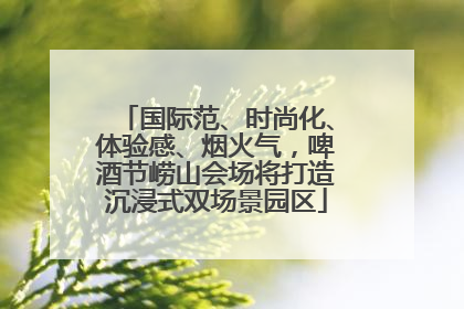 国际范、时尚化、体验感、烟火气，啤酒节崂山会场将打造沉浸式双场景园区