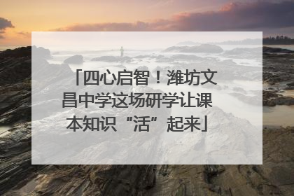 四心启智！潍坊文昌中学这场研学让课本知识“活”起来