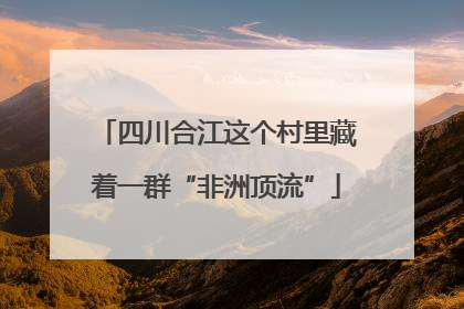 四川合江这个村里藏着一群“非洲顶流”