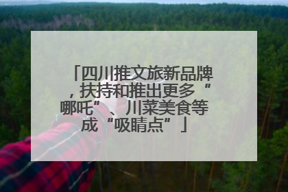 四川推文旅新品牌，扶持和推出更多“哪吒”、川菜美食等成“吸睛点”