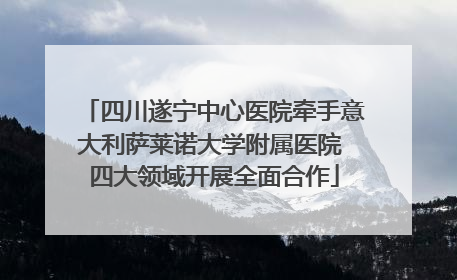四川遂宁中心医院牵手意大利萨莱诺大学附属医院 四大领域开展全面合作