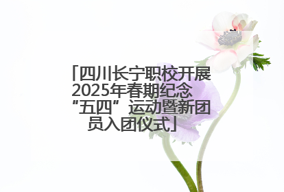 四川长宁职校开展2025年春期纪念“五四”运动暨新团员入团仪式