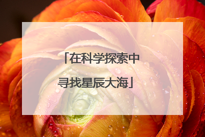 在科学探索中寻找星辰大海