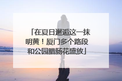 在夏日邂逅这一抹明黄！厦门多个路段和公园腊肠花盛放
