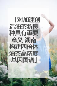 对加速创造油茶新良种具有重要意义 湖南构建四倍体油茶高精度基因图谱