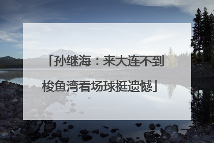 孙继海：来大连不到梭鱼湾看场球挺遗憾