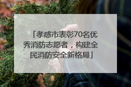 孝感市表彰70名优秀消防志愿者，构建全民消防安全新格局