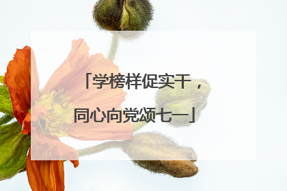 学榜样促实干，同心向党颂七一