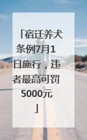 宿迁养犬条例7月1日施行，违者最高可罚5000元