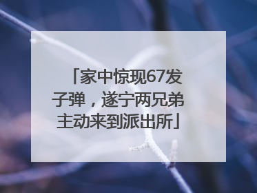 家中惊现67发子弹，遂宁两兄弟主动来到派出所