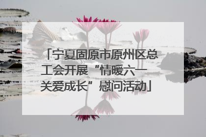 宁夏固原市原州区总工会开展“情暖六一 关爱成长”慰问活动