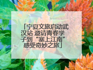 宁夏文旅启动武汉站 邀请青春学子到“塞上江南”感受奇妙之旅