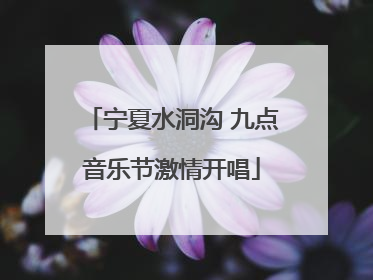 宁夏水洞沟 九点音乐节激情开唱