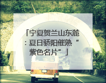 宁夏贺兰山东麓：夏日骄阳催熟“紫色名片”