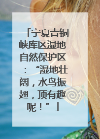 宁夏青铜峡库区湿地自然保护区：“湿地壮阔，水鸟振翅，顶有趣呢！”