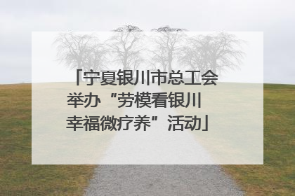 宁夏银川市总工会举办“劳模看银川 幸福微疗养”活动