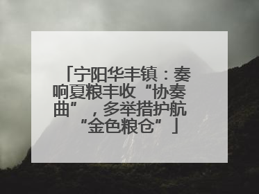 宁阳华丰镇：奏响夏粮丰收“协奏曲”，多举措护航“金色粮仓”