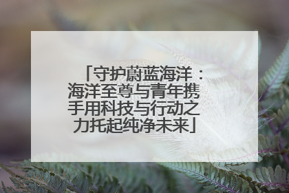 守护蔚蓝海洋：海洋至尊与青年携手用科技与行动之力托起纯净未来