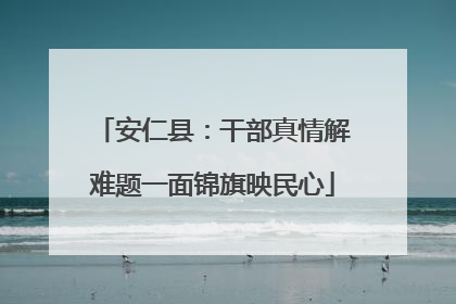 安仁县：干部真情解难题一面锦旗映民心