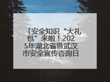 安全知识“大礼包”来啦！2025年湖北省暨武汉市安全宣传咨询日活动在汉举行