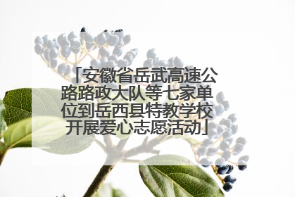 安徽省岳武高速公路路政大队等七家单位到岳西县特教学校开展爱心志愿活动