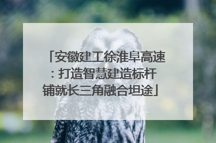 安徽建工徐淮阜高速：打造智慧建造标杆 铺就长三角融合坦途