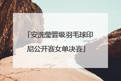安洗莹晋级羽毛球印尼公开赛女单决赛