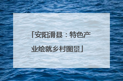 安阳滑县：特色产业绘就乡村图景