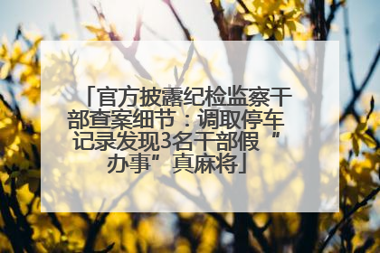 官方披露纪检监察干部查案细节：调取停车记录发现3名干部假“办事”真麻将