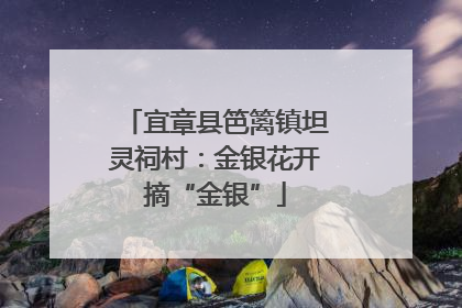 宜章县笆篱镇坦灵祠村：金银花开摘“金银”