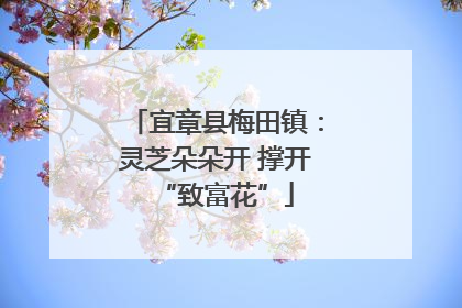 宜章县梅田镇：灵芝朵朵开 撑开“致富花”