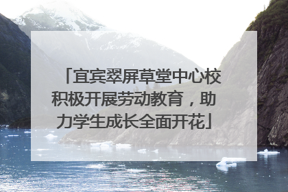 宜宾翠屏草堂中心校积极开展劳动教育，助力学生成长全面开花