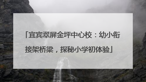 宜宾翠屏金坪中心校：幼小衔接架桥梁，探秘小学初体验