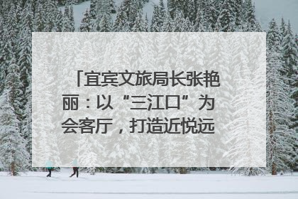宜宾文旅局长张艳丽：以“三江口”为会客厅，打造近悦远来的国际旅游城市｜文旅局长说