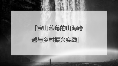 宝山蓝莓的山海跨越与乡村振兴实践