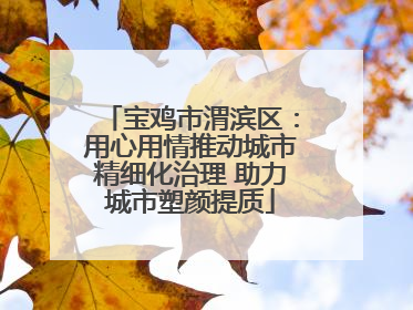 宝鸡市渭滨区：用心用情推动城市精细化治理 助力城市塑颜提质
